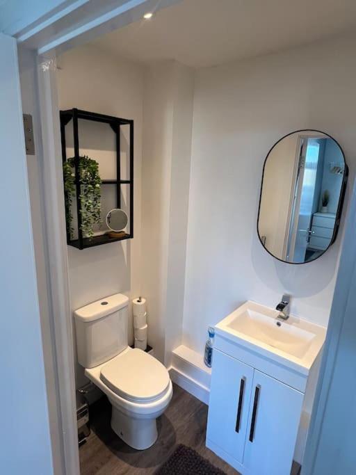 Abbotsbury 1 Bed Studio Opposite Uwe Free Parking Bristol Exteriér fotografie